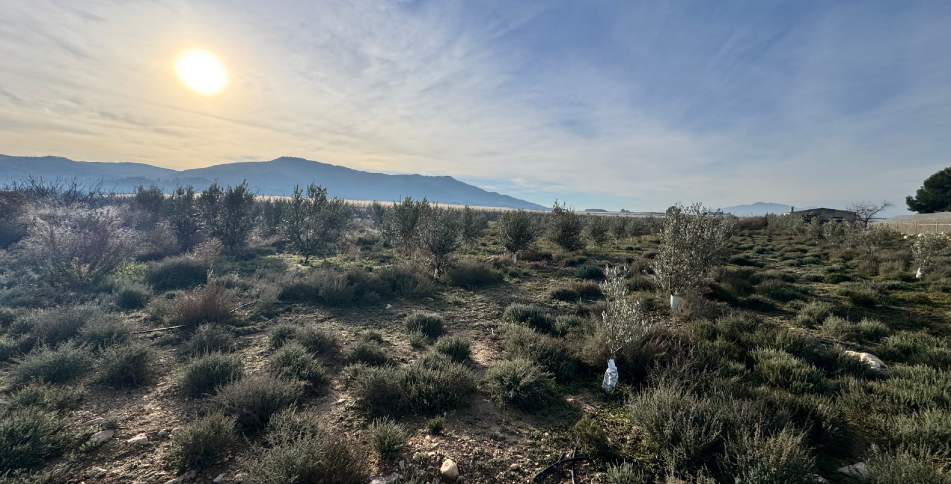 Venta - Almacen  - Abaran