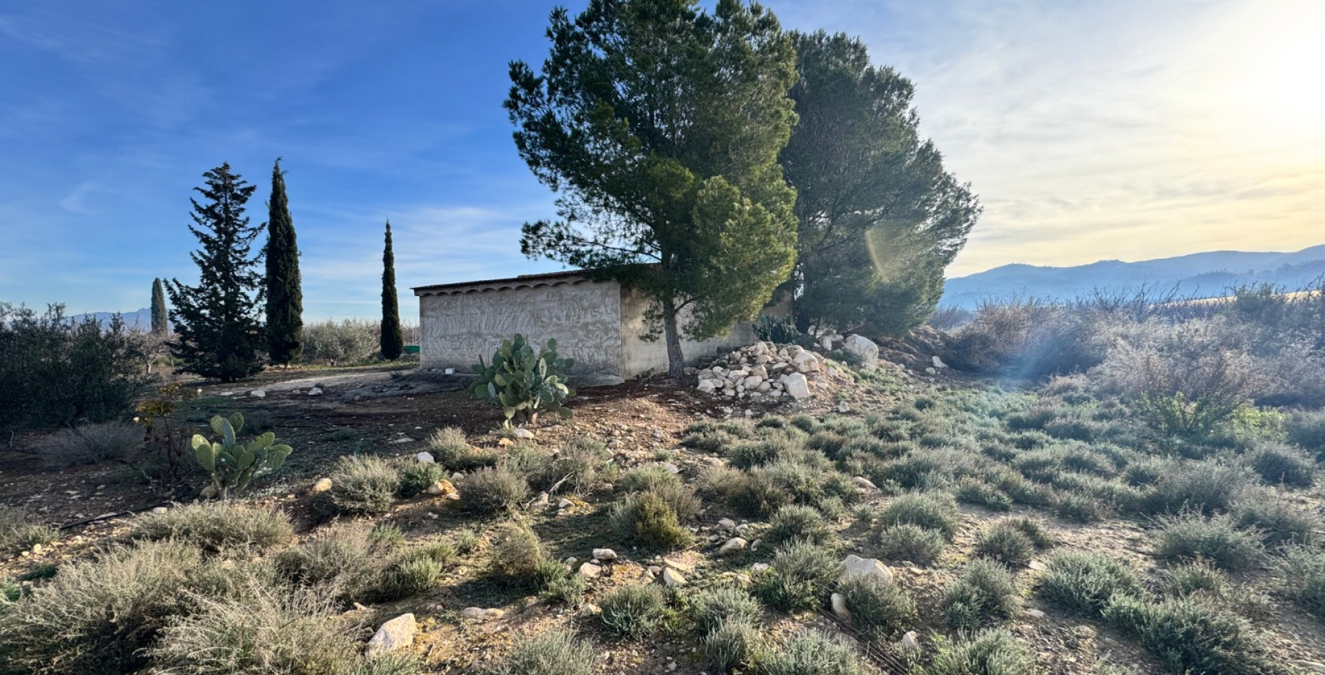 Venta - Almacen  - Abaran