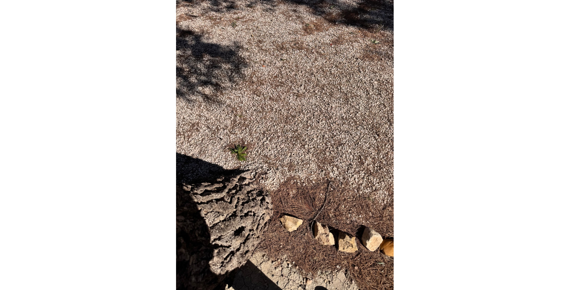 For Sale - Detached villa - Blanca