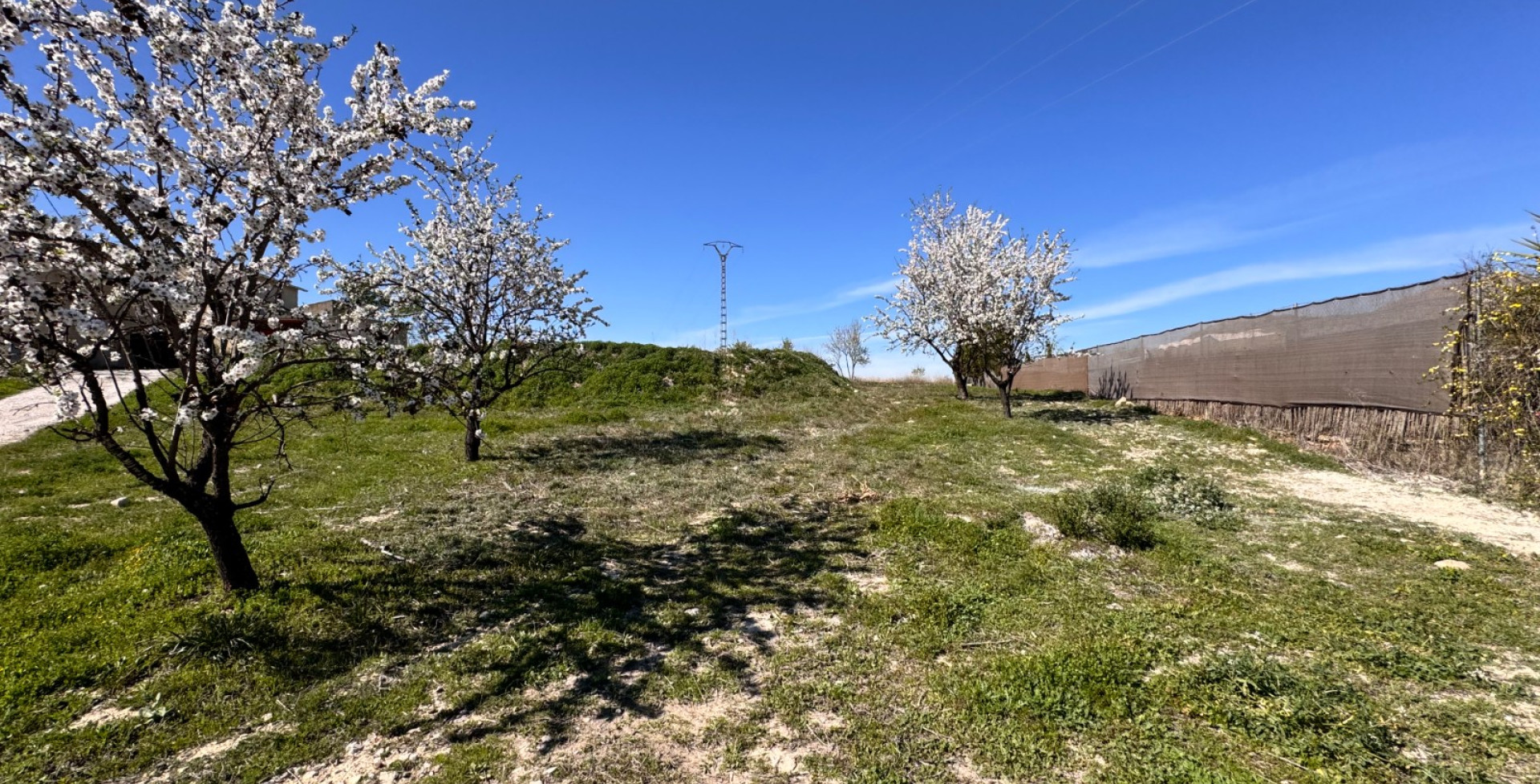 À vendre - Villa isolée - Ricote