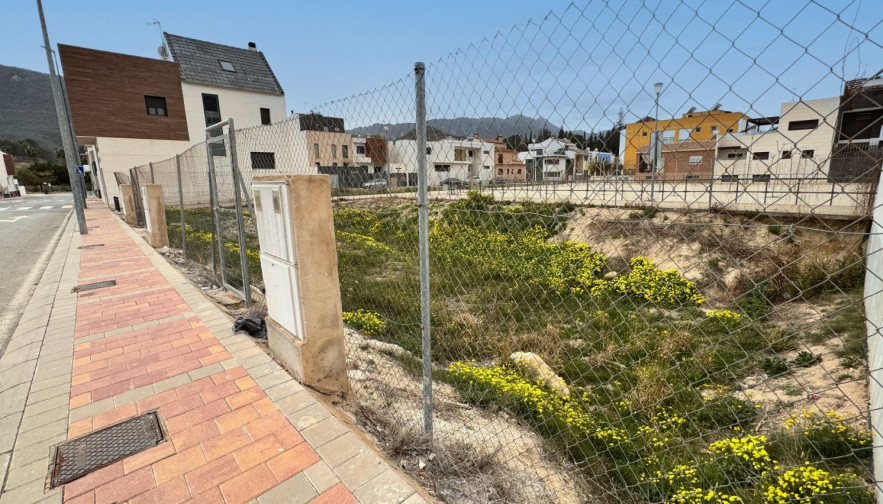 Parcelas edificables  - Venta - Blanca - Blanca