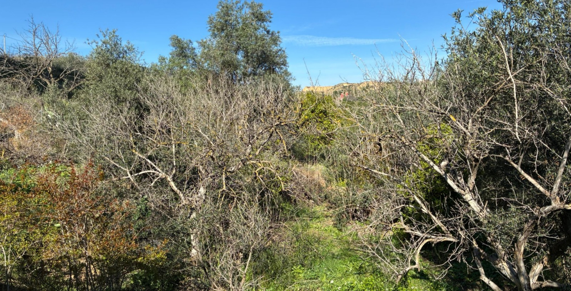 Venta - Almacen  - Blanca