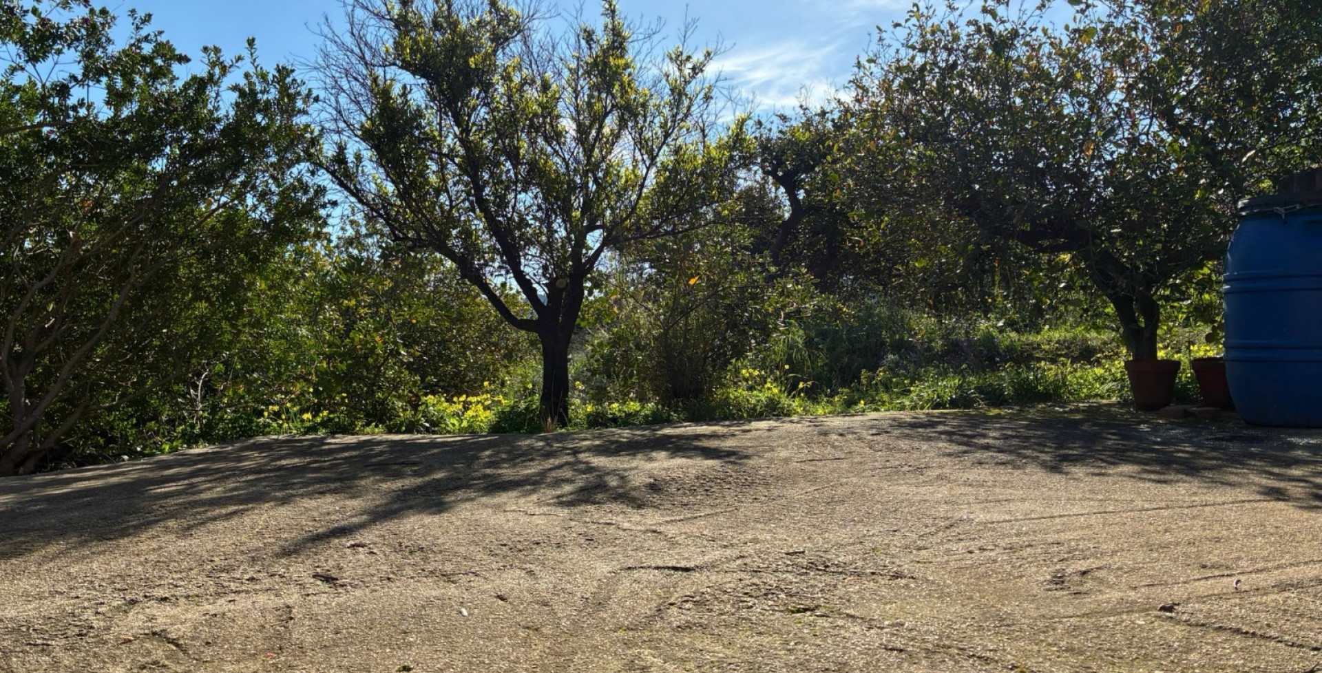 Venta - Almacen  - Blanca