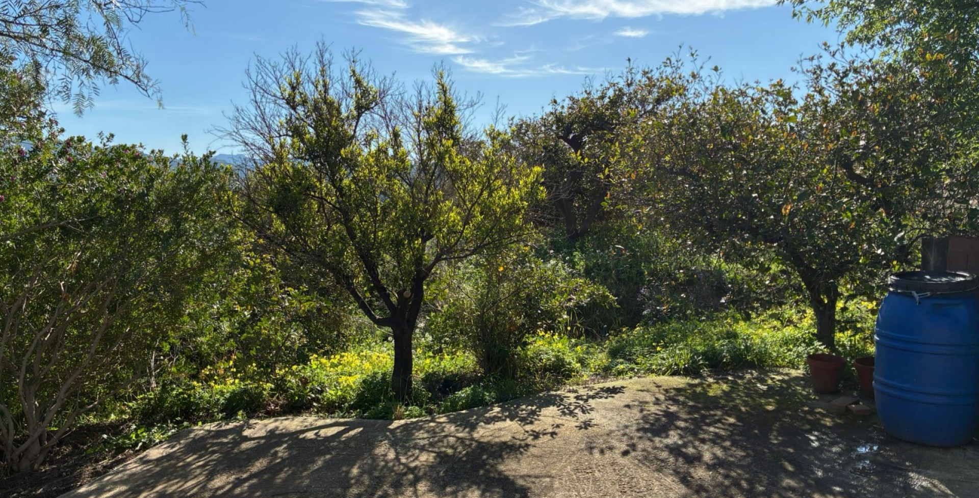 Venta - Almacen  - Blanca