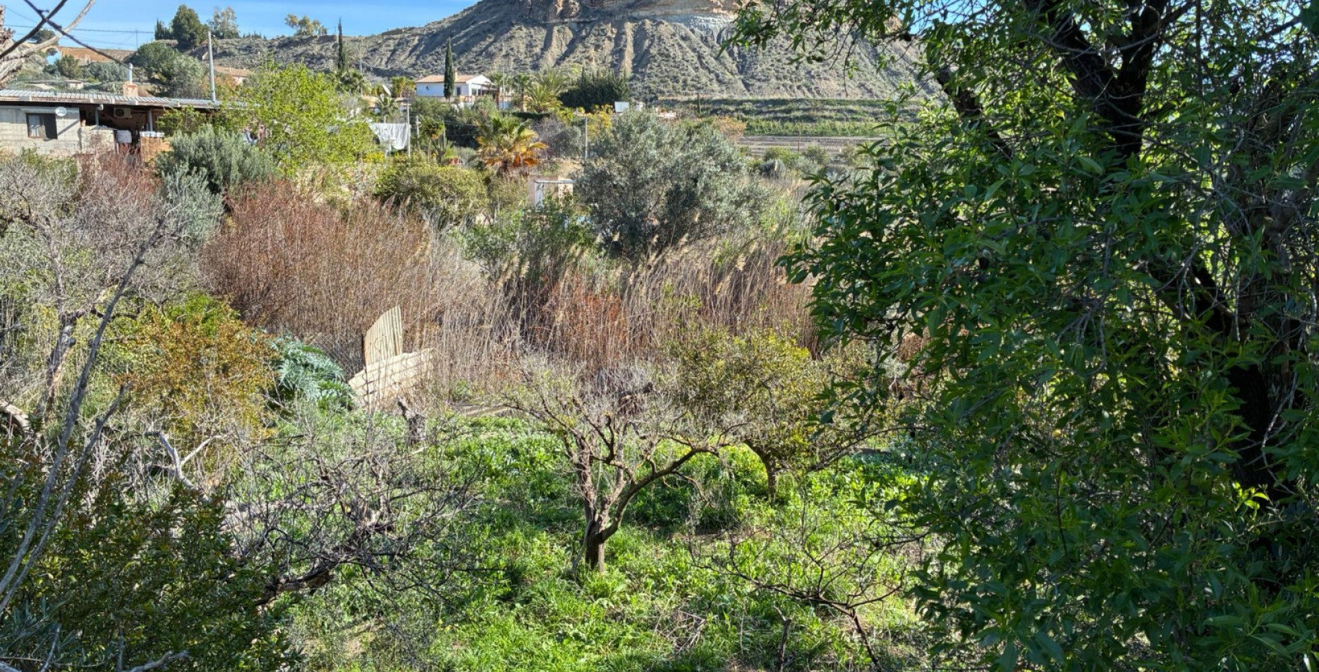 Venta - Almacen  - Blanca