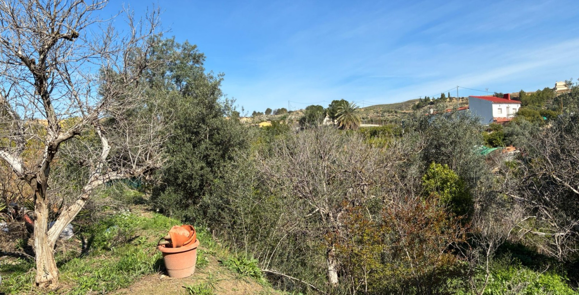 Venta - Almacen  - Blanca