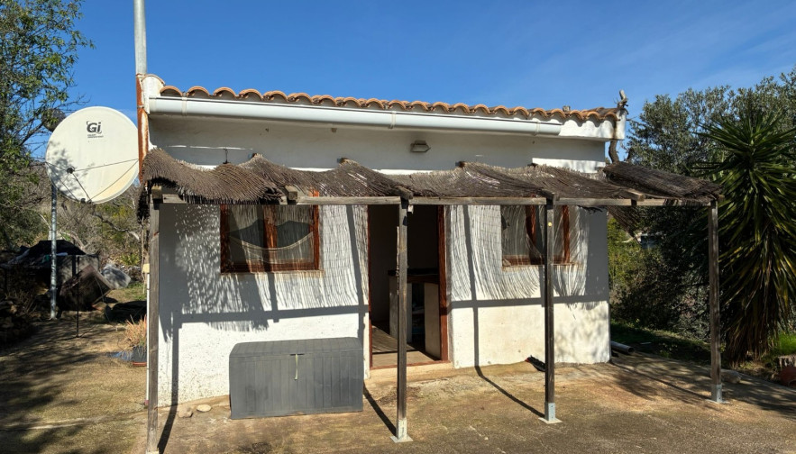 Store room - For Sale - Blanca - Blanca