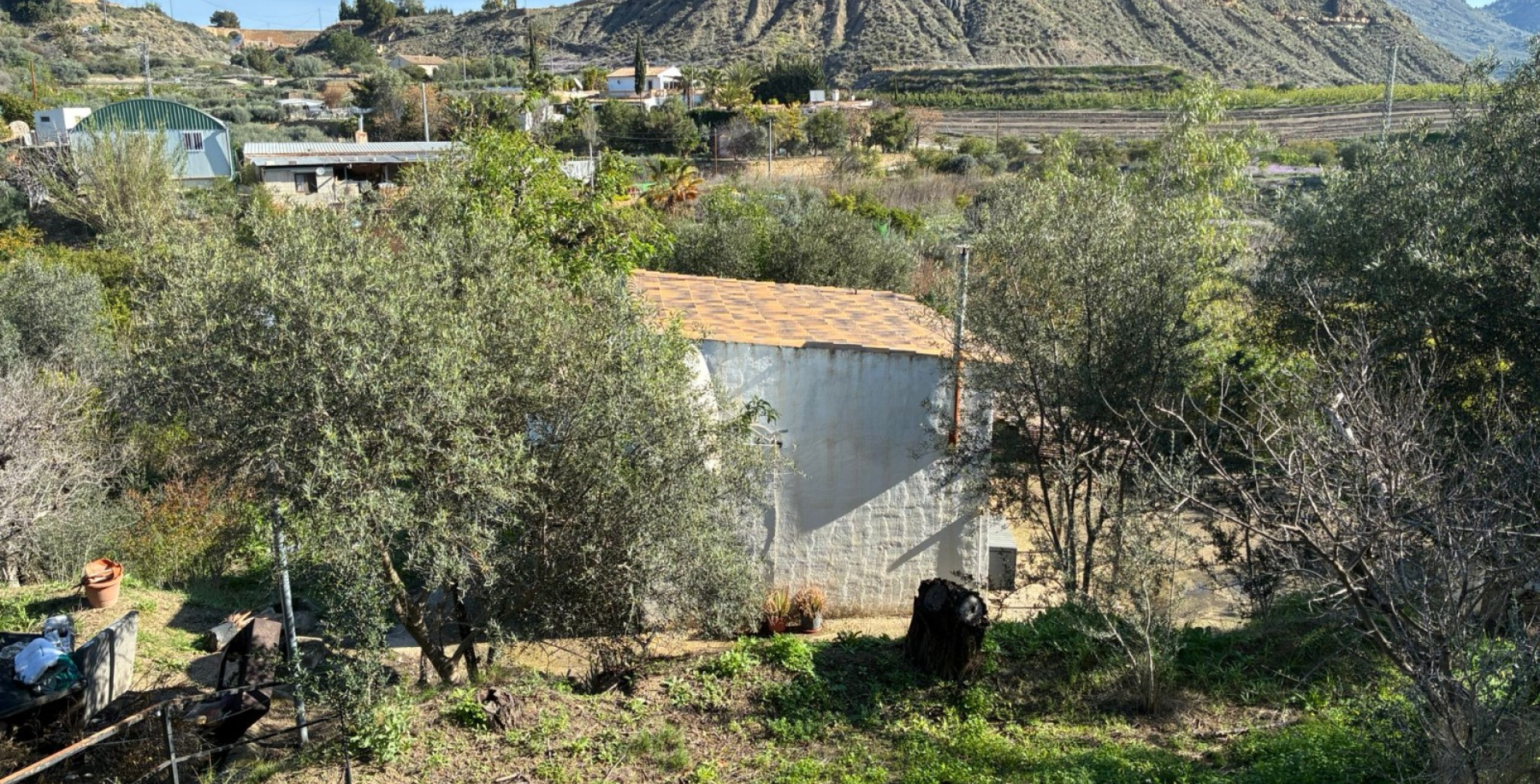 Venta - Almacen  - Blanca