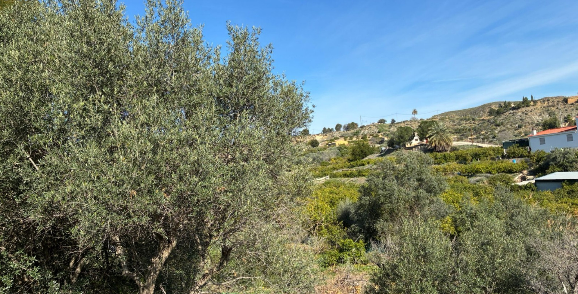 Venta - Almacen  - Blanca