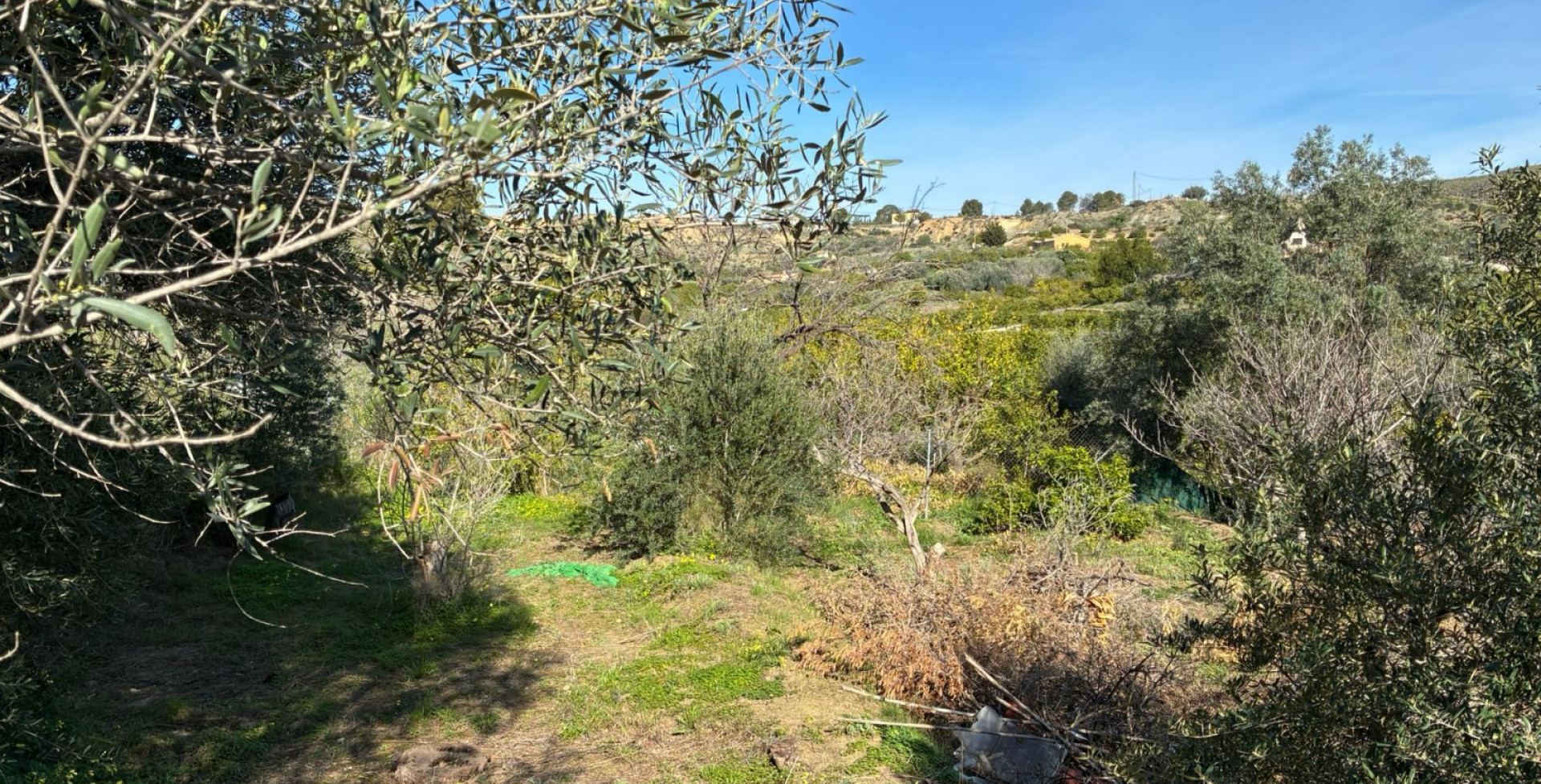 Venta - Almacen  - Blanca