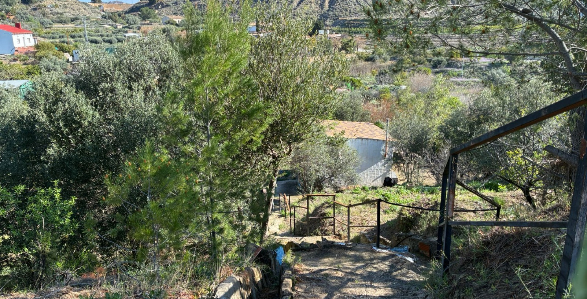 Venta - Almacen  - Blanca