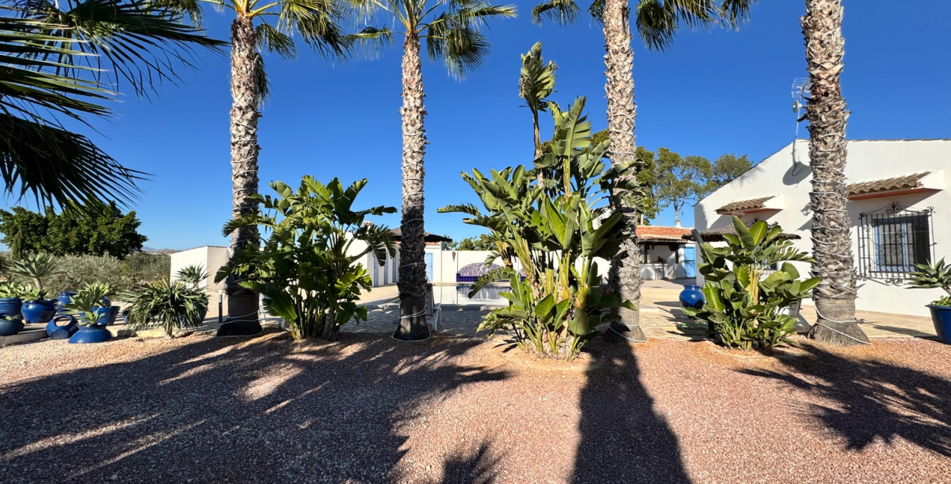 Te koop - Vrijstaande villa - Molina de Segura - 