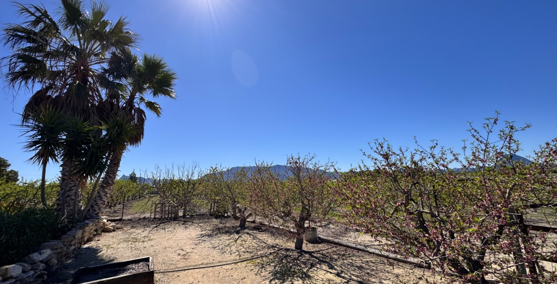 Venta - Casa de Campo - Cieza