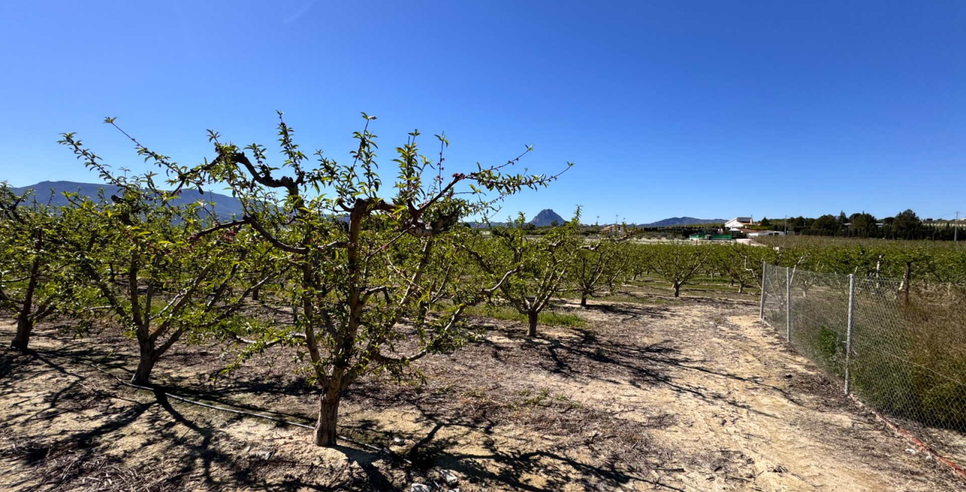 Venta - Casa de Campo - Cieza