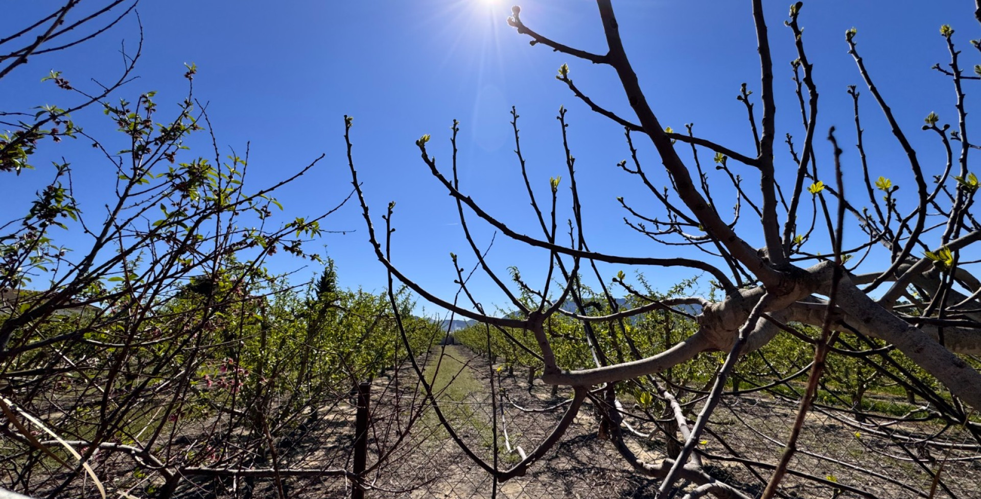 Venta - Casa de Campo - Cieza