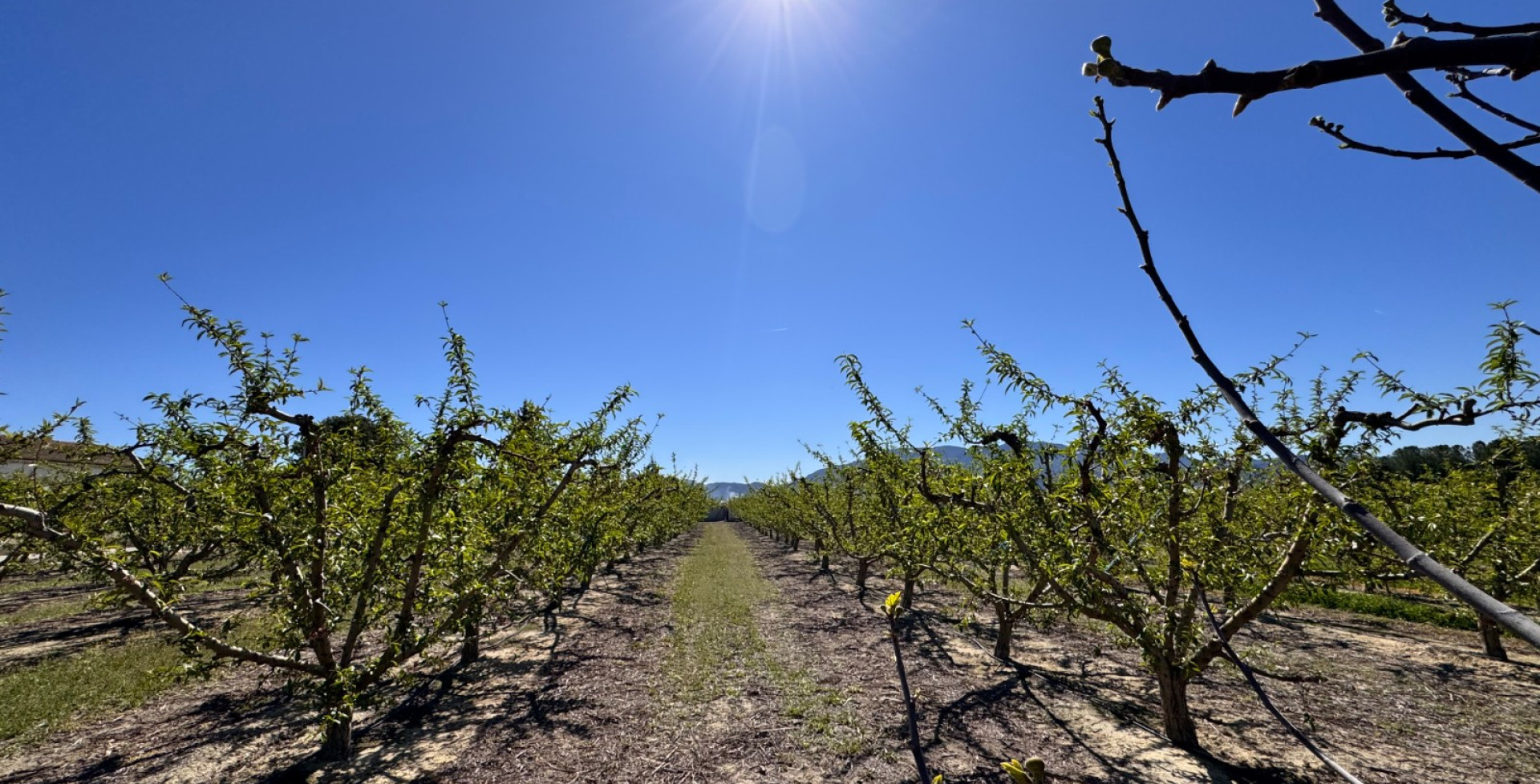 Venta - Casa de Campo - Cieza