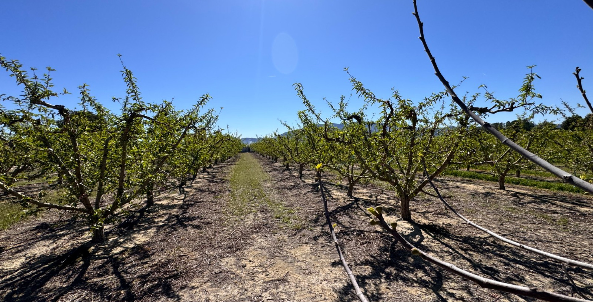 Venta - Casa de Campo - Cieza