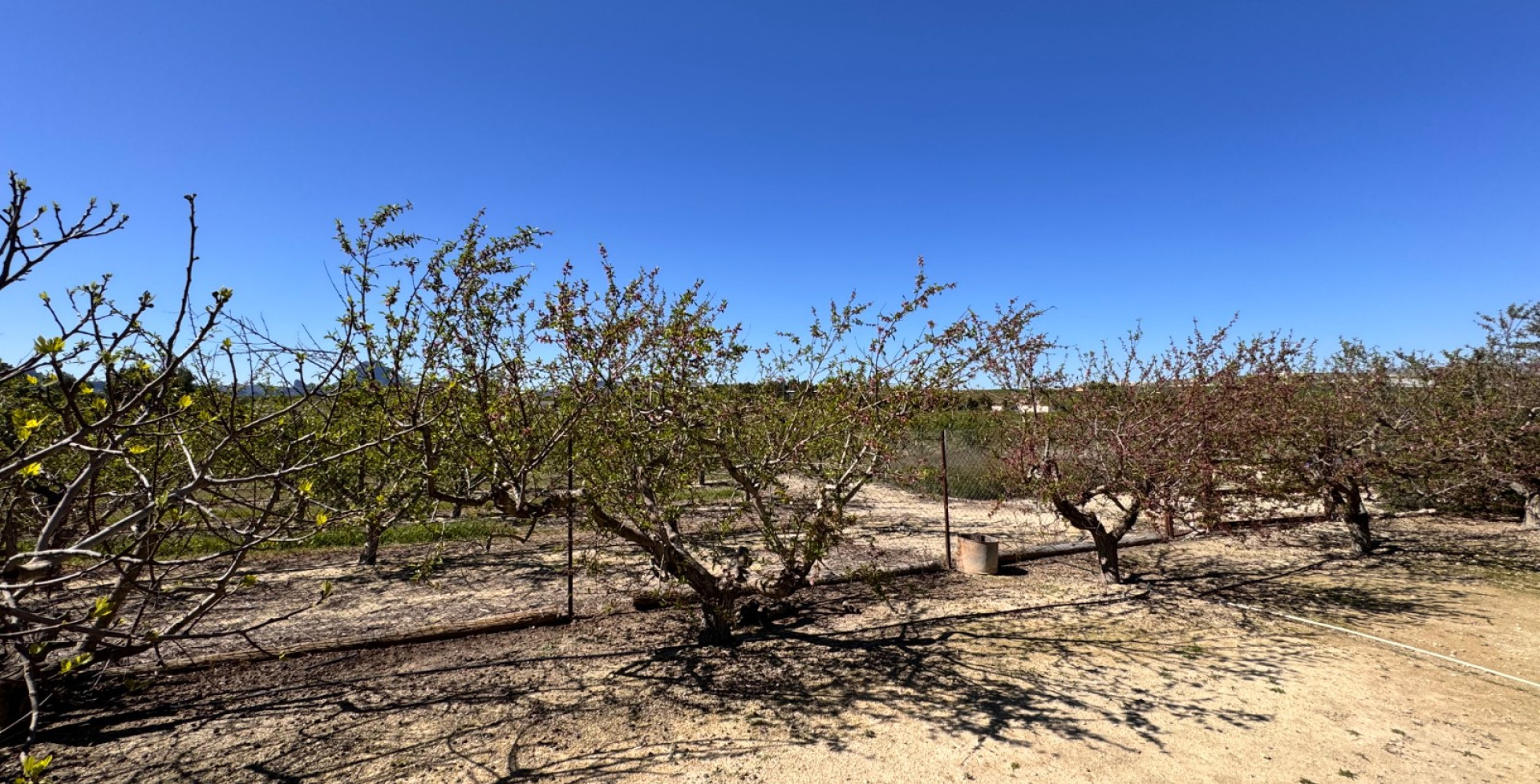 Venta - Casa de Campo - Cieza