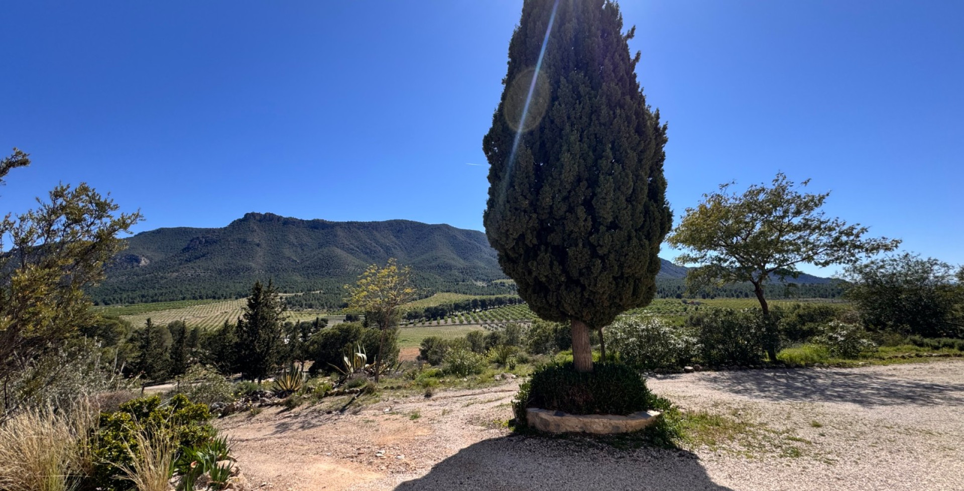 For Sale - Country House - Cieza