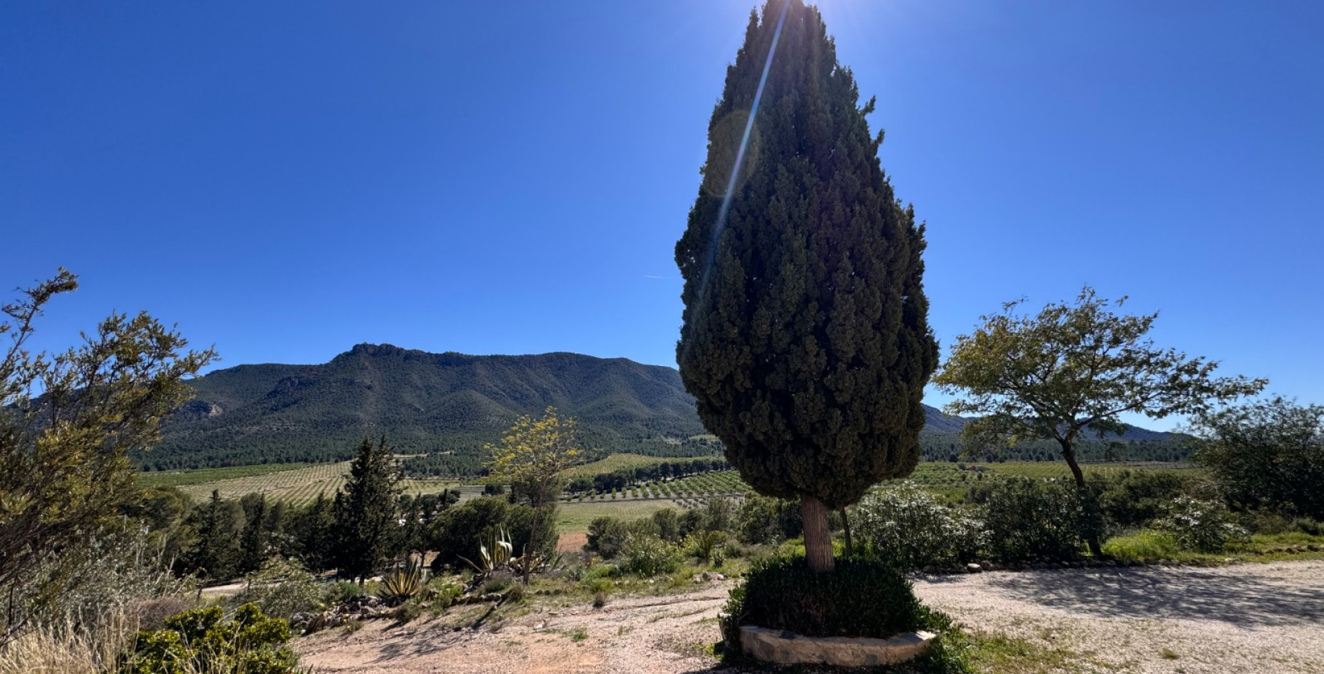 For Sale - Country House - Cieza