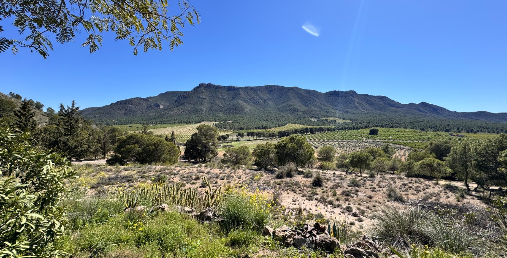 For Sale - Country House - Cieza