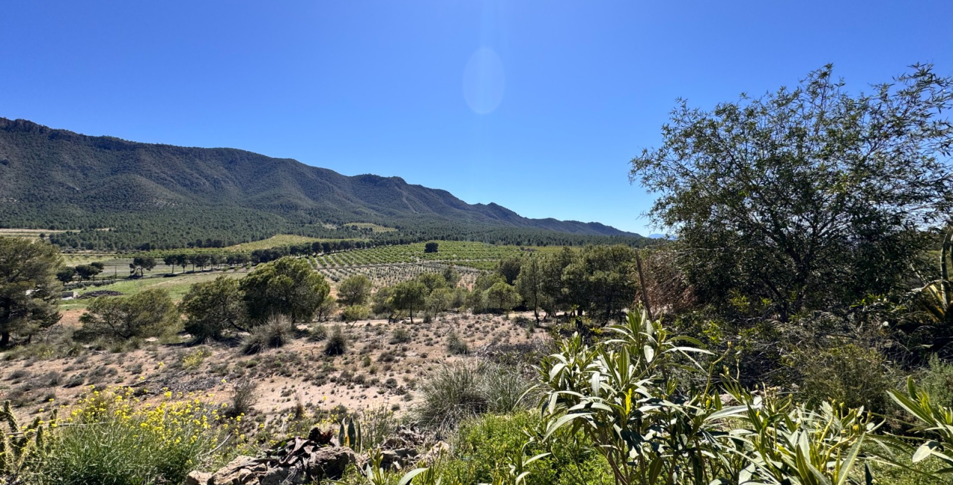 For Sale - Country House - Cieza