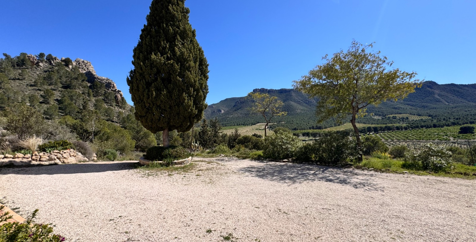 For Sale - Country House - Cieza