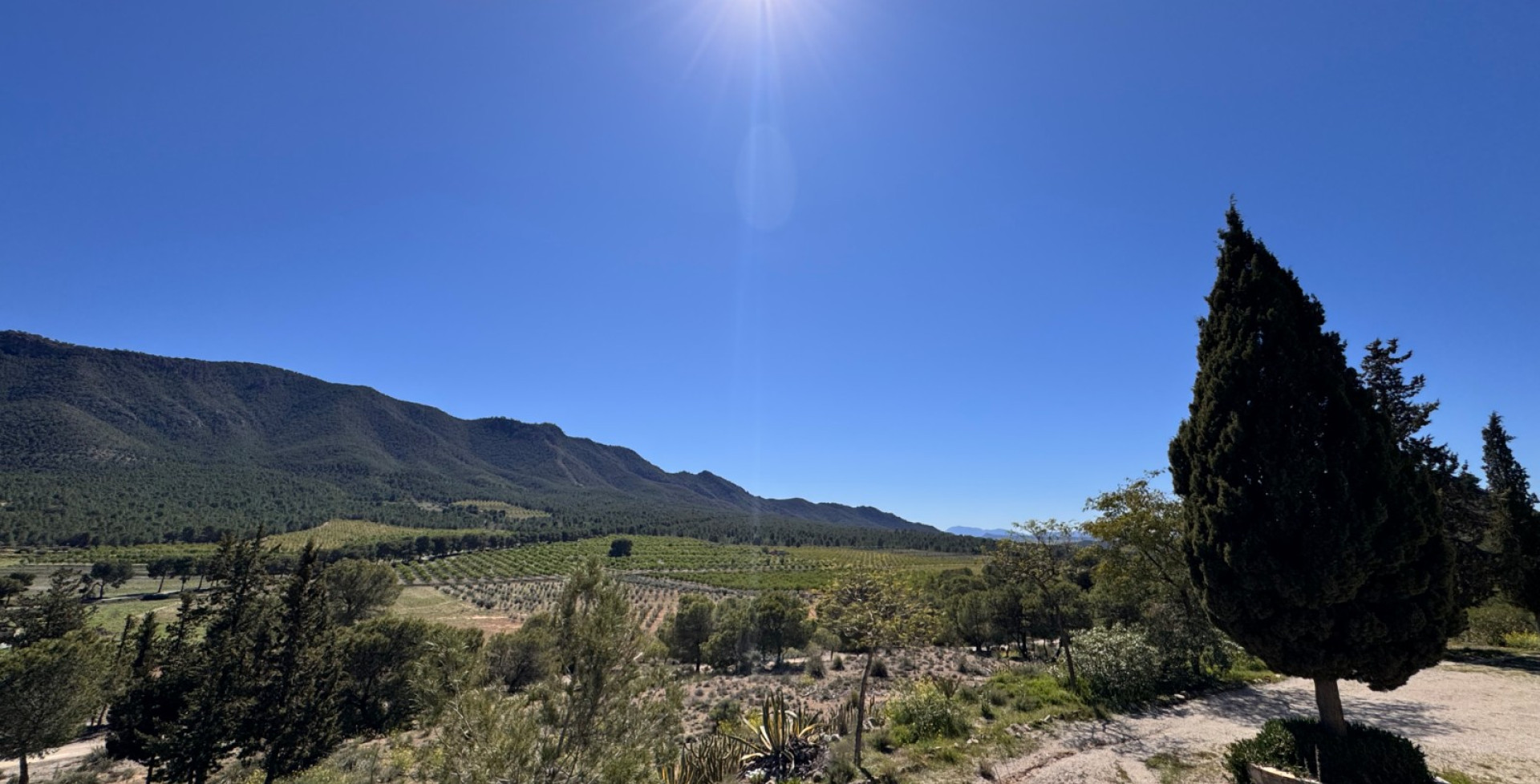 For Sale - Country House - Cieza