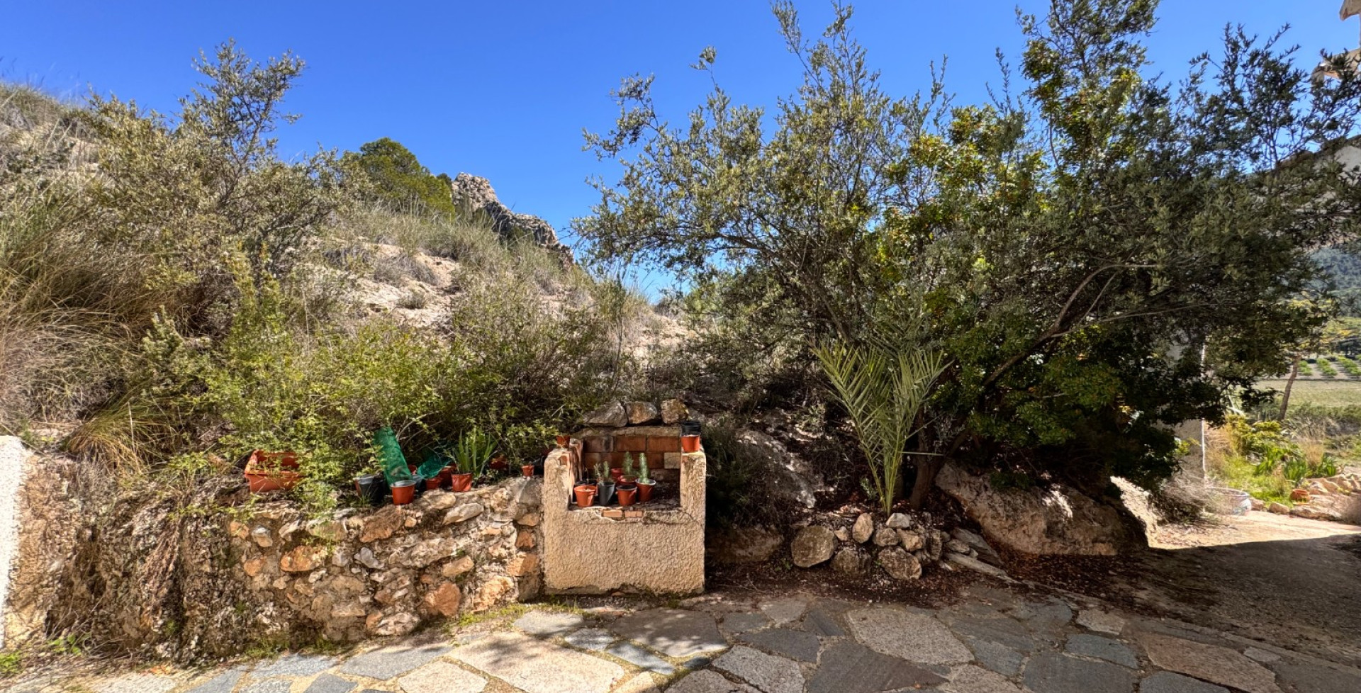 For Sale - Country House - Cieza