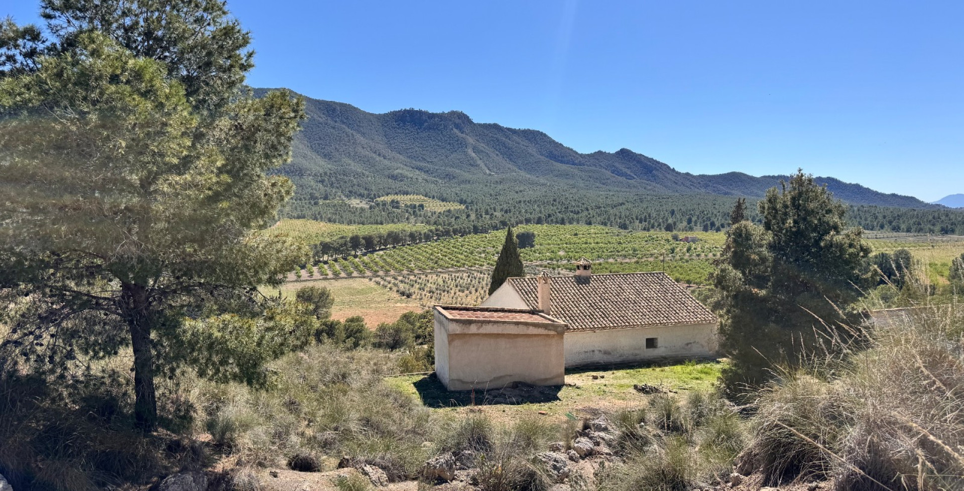 For Sale - Country House - Cieza