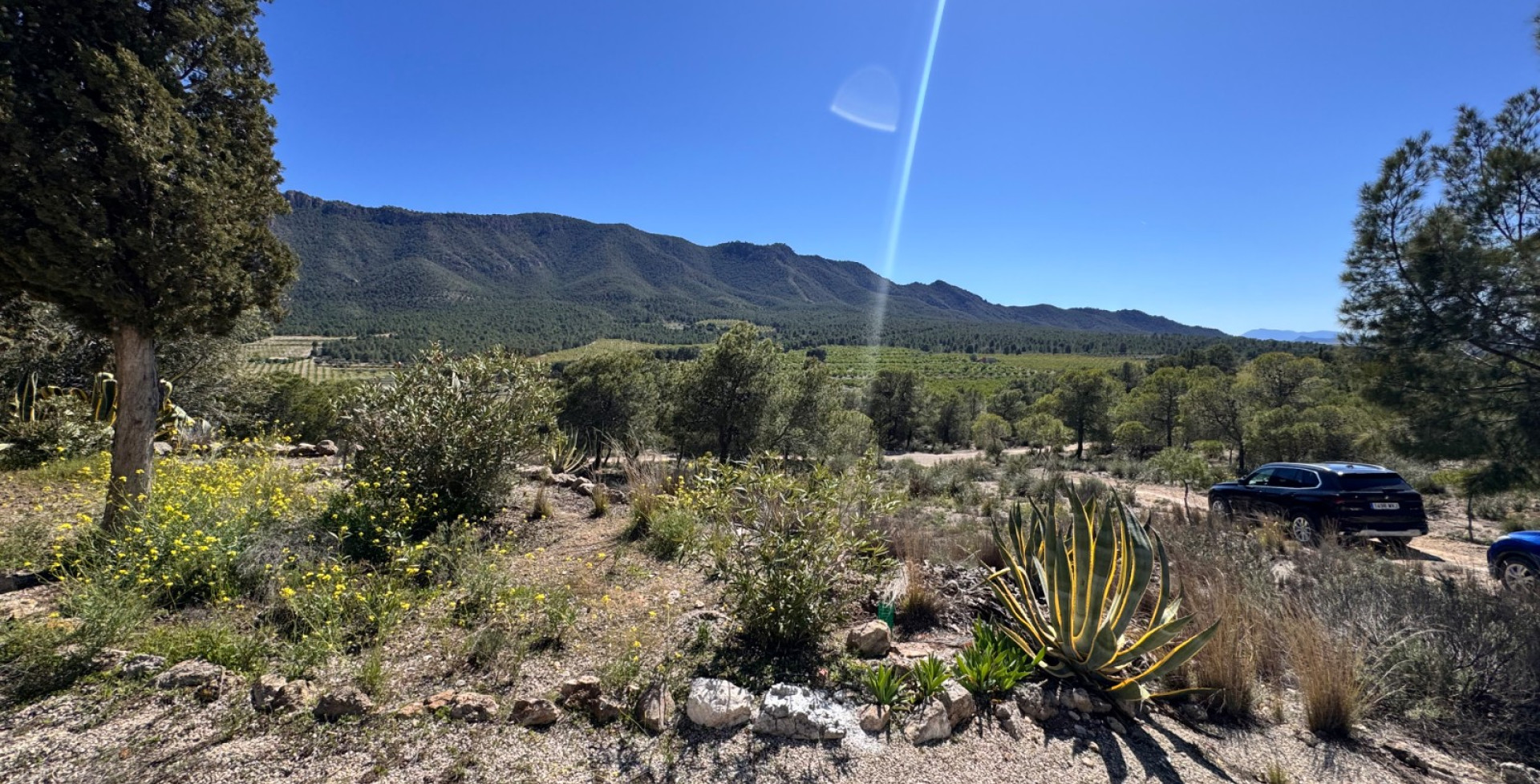 For Sale - Country House - Cieza