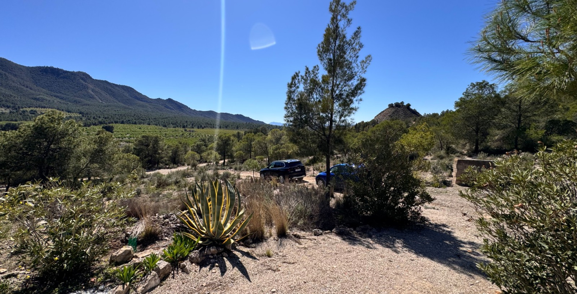 For Sale - Country House - Cieza