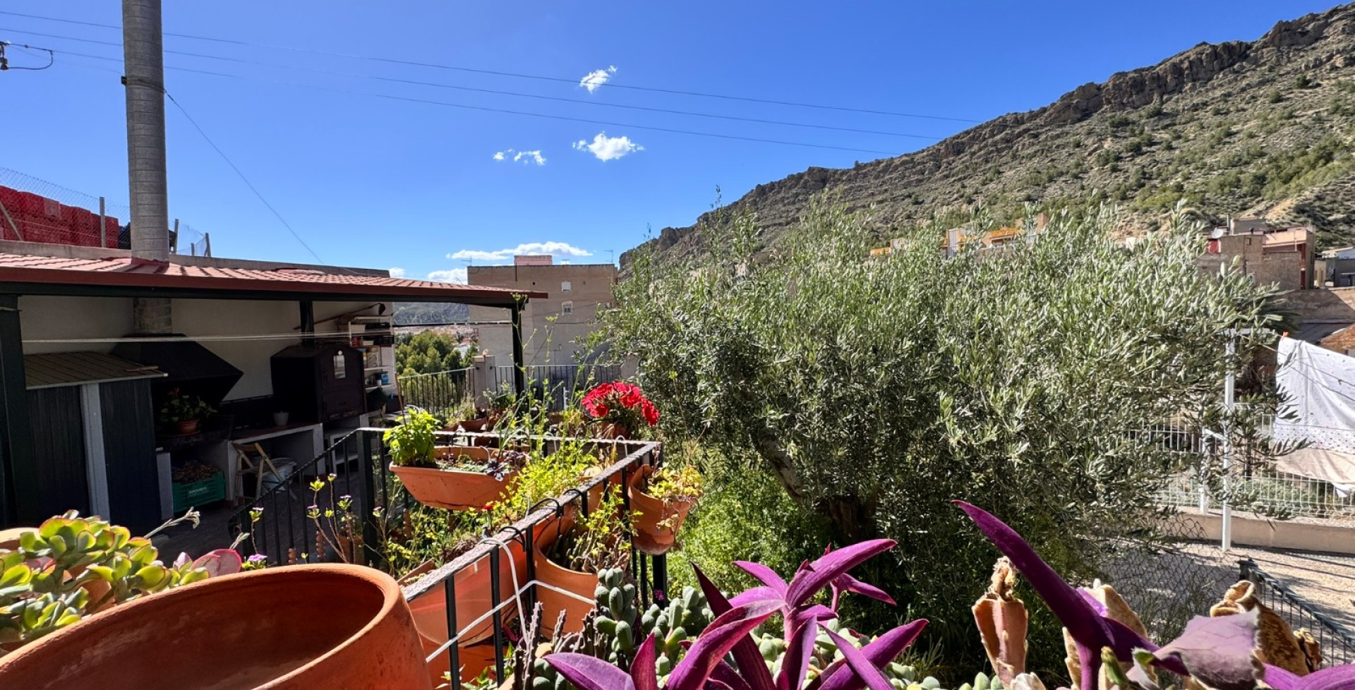 For Sale - Town House - Blanca