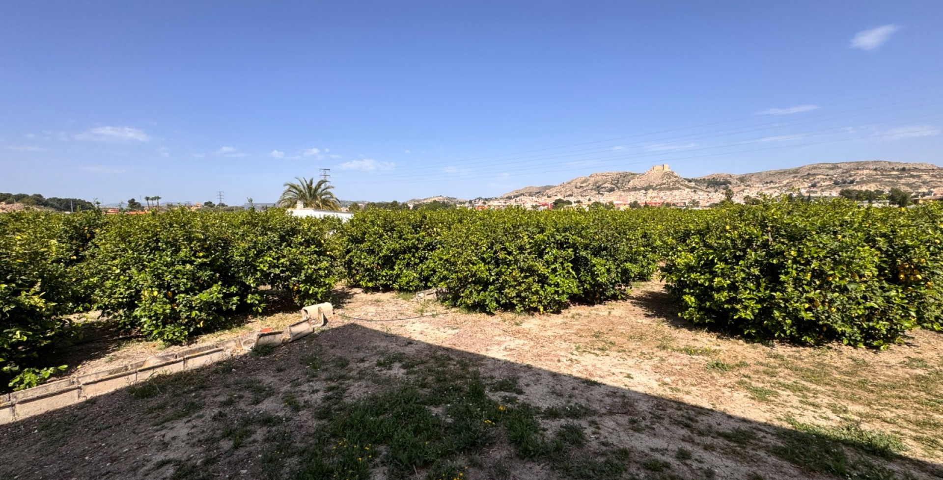 Te koop - Bouwkavels - Mula - 