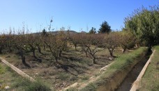 For Sale - Country House - Blanca
